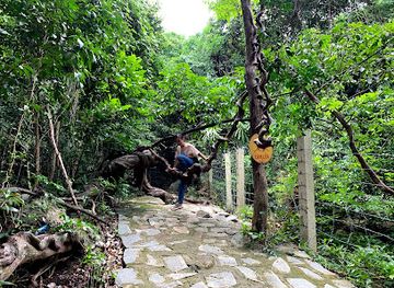 vietnam/con-dao-islands/attraction/holy-cave