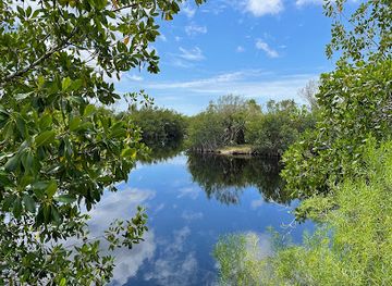 florida/everglades/attraction/big-cypress-national-preserve