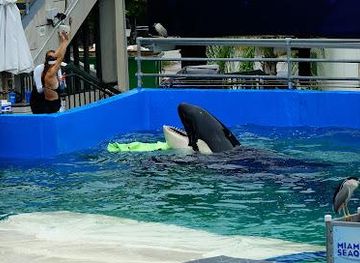 florida/homestead/attraction/miami-seaquarium