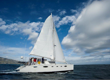 costa-rica/tamarindo/attraction/why-not-oceanic-sailing-experience