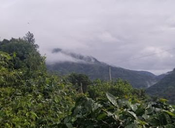 jamaica/port-antonio/attraction/supa-exterior-tours-excursions