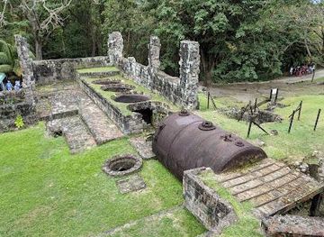 saint-kitts-and-nevis/basseterre/attraction/central-forest-reserve-national-park