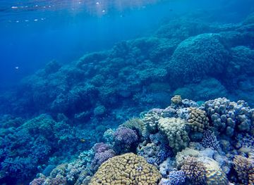 israel/red-sea-coral-reef/attraction/straits-of-tiran