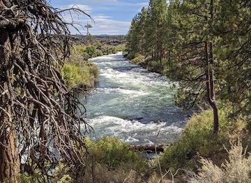 oregon/cascade-lakes-scenic-byway/attraction/big-eddy-day-use-area-trailhead