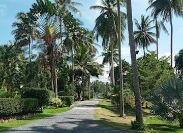 thailand/koh-samui/attraction/la-rhumerie-de-koh-samui