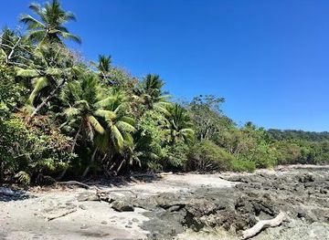 costa-rica/jaco/attraction/nacional-wildlife-refuge-romelia
