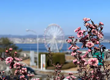 Awaji Highway Oasis