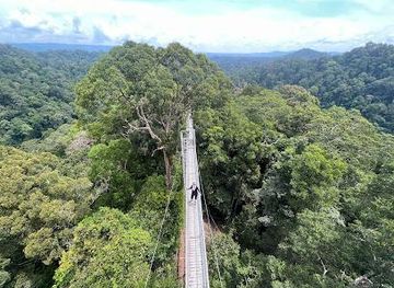 brunei/bangar/attraction/ulu-temburong-national-park