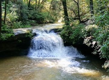 kentucky/appalachian-plateau/attraction/clifty-wilderness
