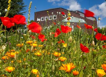 germany/north-frisia/attraction/nolde-museum