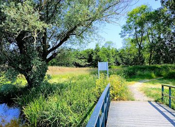 netherlands/alblasserwaard/attraction/natuurgebied-kraaienbos