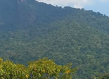 guyana/upper-takutu-upper-essequibo/attraction/kumu