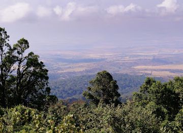tanzania/ngorongoro-conservation-area/attraction/ngorogoro-conservation-authority