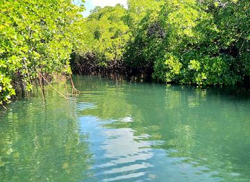 vanuatu/banks-islands/attraction/crocodile-river