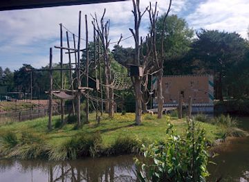 netherlands/rivierenland/attraction/beekse-bergen