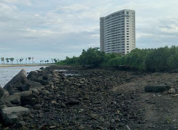 philippines/davao/attraction/mt-dew-batohan