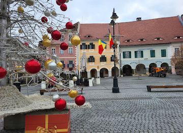 romania/sibiu-area/attraction/the-museum-of-pharmaceutical-history