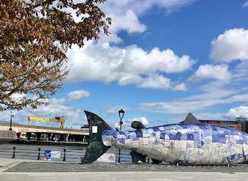 united-kingdom/belfast/attraction/the-big-fish