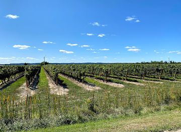 canada/okanagan/attraction/inniskillin-wines