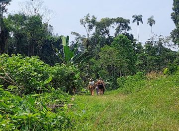 ecuador/northern-sierra/attraction/cendero-amarun-yaku