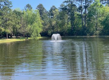 texas/the-woodlands/attraction/mason-pond-park