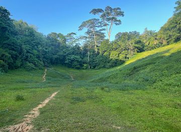 singapore/bukit-timah-nature-reserve/attraction/clementi-forest
