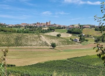 italy/monferrato/attraction/purple-big-bench-n-10-castelnuovo-calcea