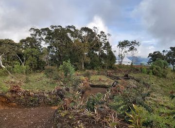 papua-new-guinea/mount-wilhelm/attraction/konaitumbu-popurul