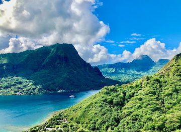 french-polynesia/moorea/attraction/franckyfranck-tours-moorea