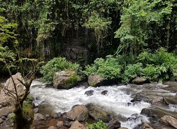 tanzania/moshi/attraction/kilasiya-water-falls