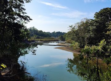 nepal/far-western-development-region/attraction/patthar-bandh-sight-seeing-spot-bardiya-national-park