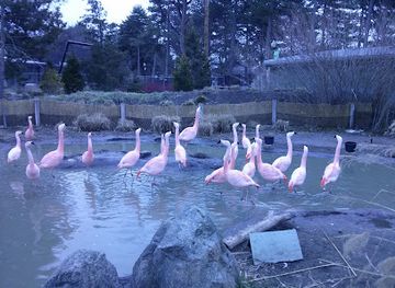 utah/salt-lake-city/attraction/tracy-aviary-botanical-gardens