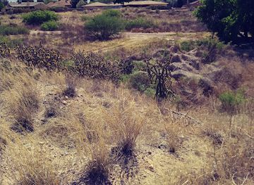 new-mexico/las-cruces/attraction/salopek-stull-park