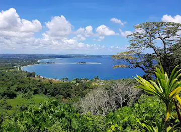 VANUATU JUNGLE - Zipline, Sky Bridge, Canyon Swing