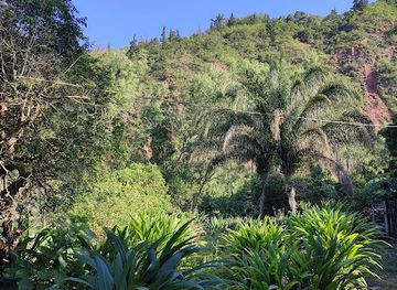 bolivia/amboro-national-park/attraction/ecoparaiso-bio-coop