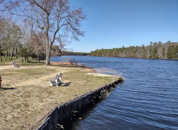 new-jersey/jersey-shore/attraction/wharton-state-forest