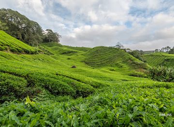 malaysia/pahang/attraction/best-view