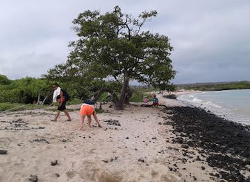 ecuador/galapagos-islands/attraction/playa-el-garrapatero