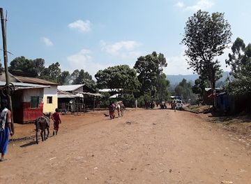 ethiopia/bale-mountains-national-park/attraction/caffe