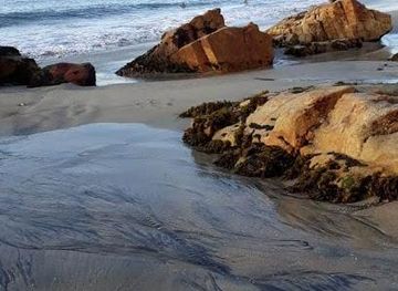 chile/vina-del-mar/attraction/cau-cau