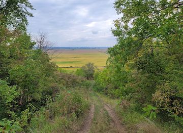 iowa/loess-hills/attraction/loess-hills-state-forest-mondamin-unit
