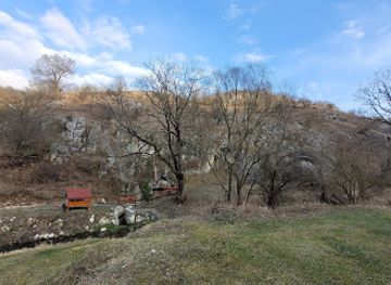 romania/mehedinti/attraction/pestera-sfodea