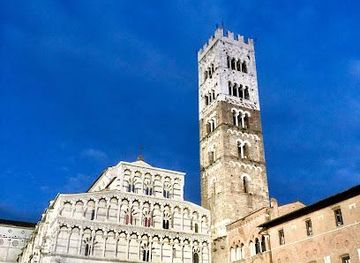 italy/pisa/attraction/duomo-di-san-martino