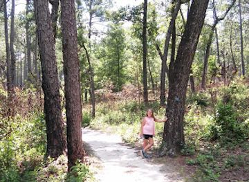 south-carolina/sandhills/attraction/weymouth-woods-sandhills-nature-preserve