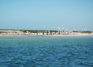 morocco/todra-gorge/attraction/marokko-mauretanien