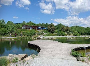 germany/bavarian-forest-national-park/attraction/feng-shui-kurpark-lalling