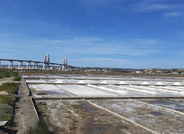 portugal/figueira-da-foz/attraction/murraceira-salinas-filipas