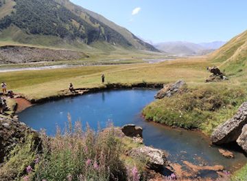 georgia/blood-mountain/attraction/truso-gorge