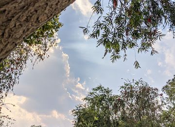 nepal/kathmandu-valley/attraction/studying-meditation-space