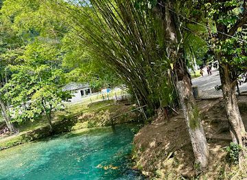 jamaica/port-maria/attraction/spanish-bridge-river-jamaica